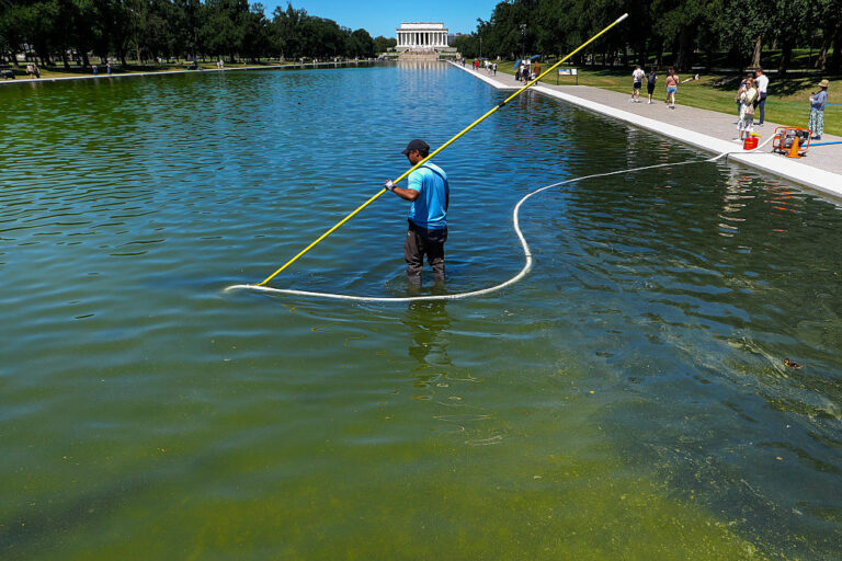 Algae, Vandals, Arrests: The Latest in Trump’s Troubled Bid to Restore the Reflecting Pool