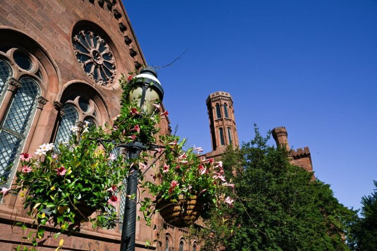 Trump Signs Executive Order Related to Smithsonian Institution, White House Says